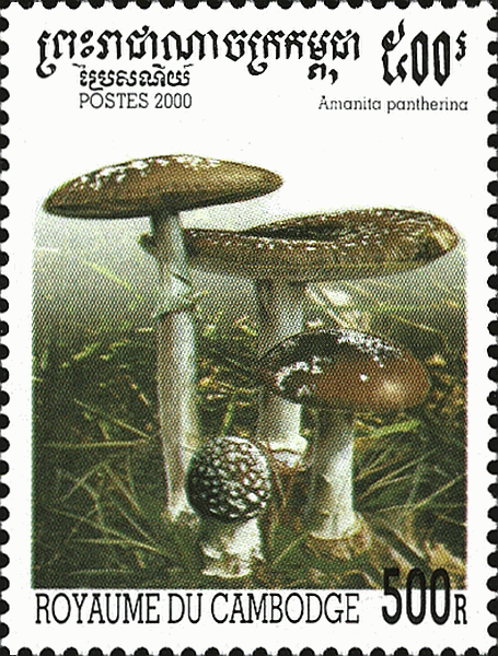 Briefmarke