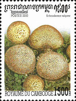 Briefmarke