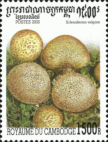 Briefmarke