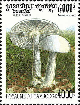 Briefmarke