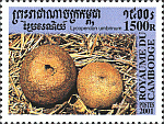 Briefmarke