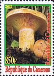 Briefmarke