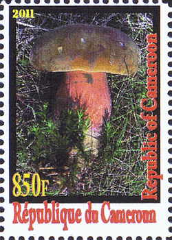 Briefmarke