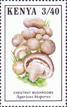 Briefmarke