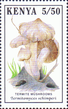 Briefmarke