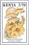 Briefmarke