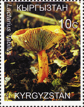 Briefmarke