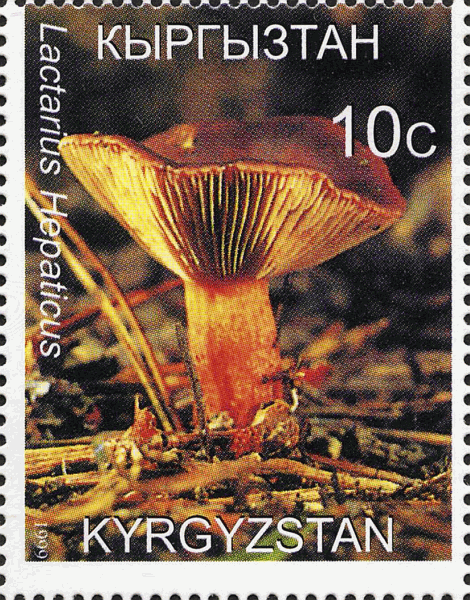 Briefmarke