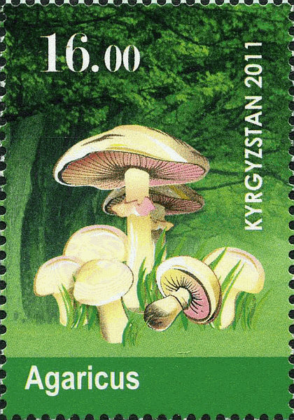 Briefmarke