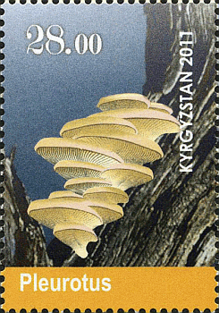 Briefmarke