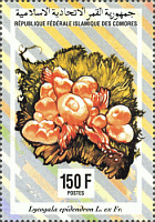 Briefmarke