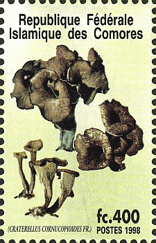 Briefmarke