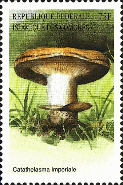 Briefmarke