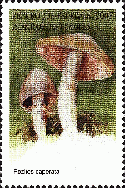 Briefmarke