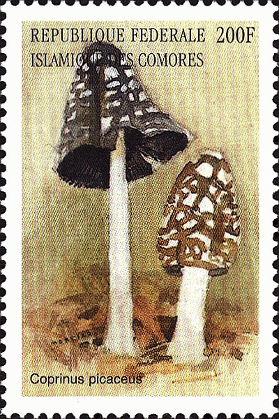 Briefmarke