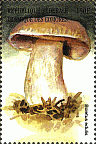 Briefmarke