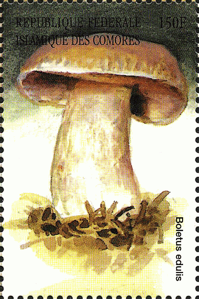 Briefmarke