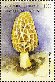 Briefmarke