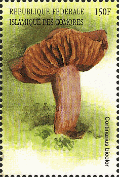 Briefmarke