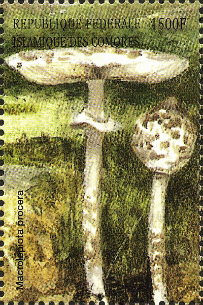 Briefmarke