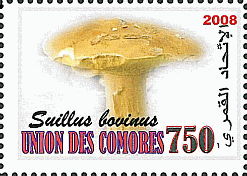 Briefmarke