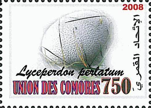 Briefmarke