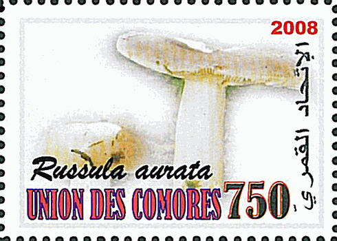 Briefmarke