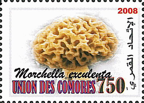 Briefmarke