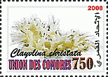 Briefmarke