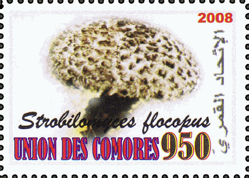 Briefmarke