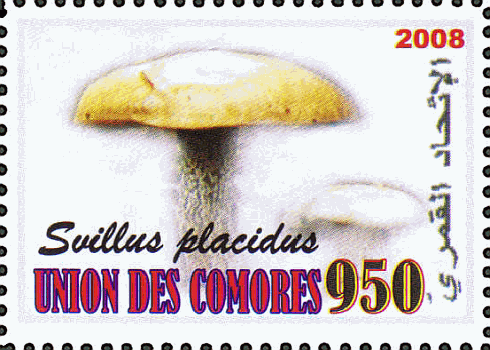 Briefmarke