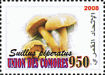 Briefmarke