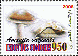Briefmarke