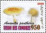 Briefmarke