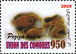 Briefmarke