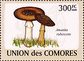 Briefmarke
