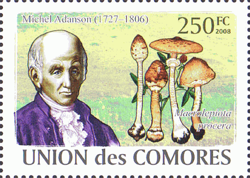 Briefmarke