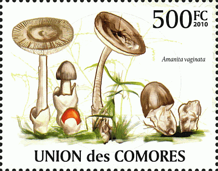 Briefmarke