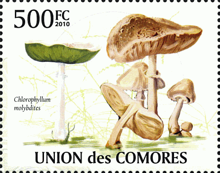 Briefmarke