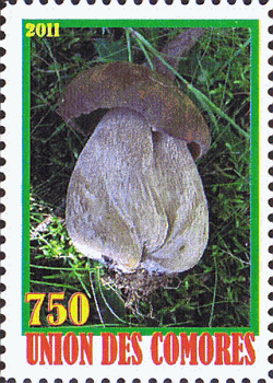 Briefmarke