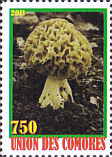Briefmarke