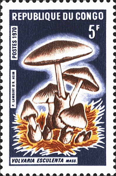 Briefmarke