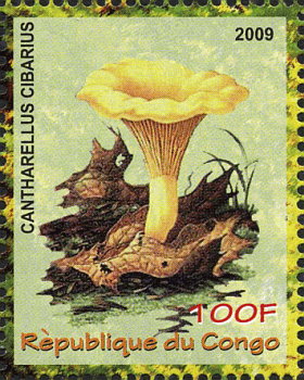 Briefmarke