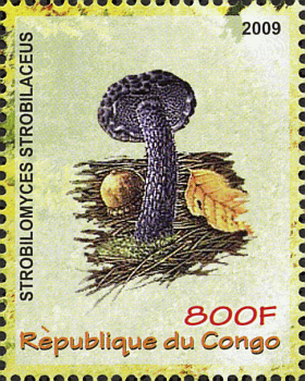 Briefmarke