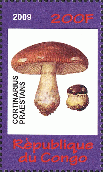 Briefmarke