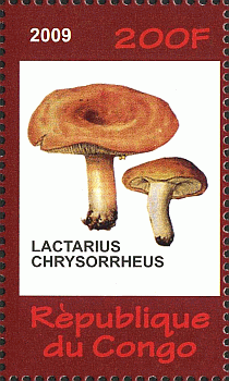 Briefmarke