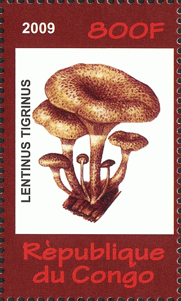 Briefmarke