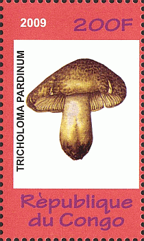 Briefmarke