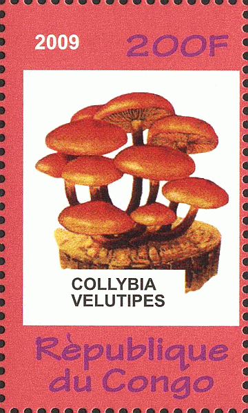 Briefmarke