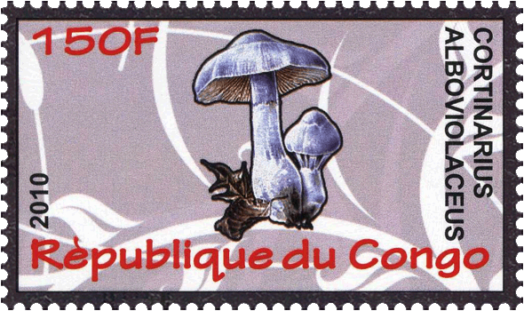 Briefmarke
